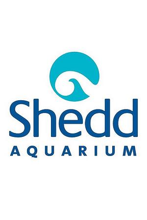 Shedd Aquarium